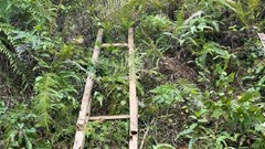 Nghệ An: Bắt đối tượng đào hố trên đồi cao để chôn giấu ma túy