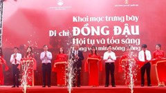 Di chỉ Đồng Đậu - Hội tụ và tỏa sáng trong văn minh sông Hồng