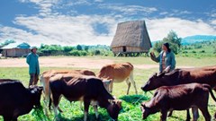 Giải pháp nào cho những người phụ nữ hoàn lương?