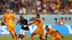 Hà Lan hoà Ecuador khiến chủ nhà Qatar bị loại sớm