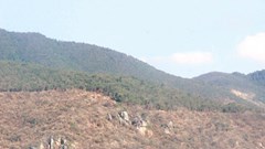 Khánh Hòa: “Xóa sổ” rừng tự nhiên để phân lô bán đất?