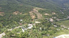 Về bài Phường đâu có "ba đầu sáu tay" để quản lý? Không xử lý dứt điểm, sẽ làm rõ trách nhiệm người đứng đầu