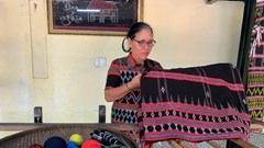 Sức sống của Zèng