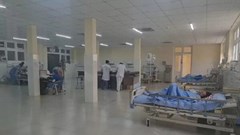 Lâm Đồng: 6 người thương vong sau bữa trưa trên rẫy cà phê