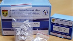 Khởi tố thêm 1 bị can trong vụ án xảy ra tại Công ty Việt Á