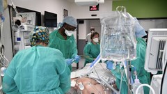 WHO cảnh báo có hơn 500 dòng phụ của biến thể Omicron đang lưu hành