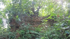 Ưu tiên nguồn lực để bảo tồn, phát huy