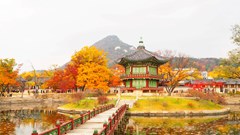 ﻿Khám phá Hàn Quốc mùa lễ hội với các đường bay “độc nhất vô nhị” của Vietjet