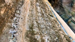 Ngũ Hành Sơn- nơi hội tụ di sản văn hóa