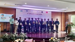 Hoàn thành trùng tu 3 nhóm tháp A, H, K tại Khu đền tháp Mỹ Sơn