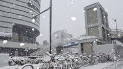 Nhật Bản đối phó với tuyết rơi dày đặc