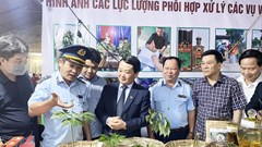 Kon Tum: Thủ phủ Sâm Ngọc Linh tổ chức phiên chợ sâm lần thứ 2