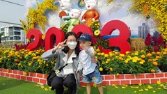 Kiên Giang đón trên 134 ngàn lượt du khách dịp Tết