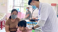 Gia Lai: Hơn 200 ca mắc sốt xuất huyết trong vòng 1 tháng