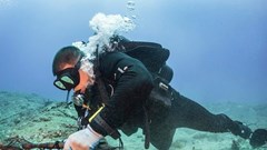 Nhà mạng tích cực đảm bảo chất lượng sau sự cố 4 tuyến cáp quang biển