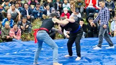 Sôi nổi giải đấu vật truyền thống ở lễ hội Vua Mai