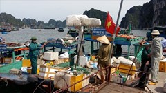 Giảm thiểu rác thải nhựa trong hoạt động du lịch: Cần hành động ngay!