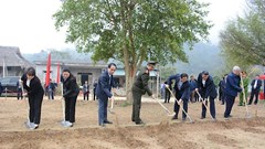 Tuyên Quang: Động thổ Dự án Khu trồng cây lưu niệm tại Khu di tích quốc gia đặc biệt Tân Trào