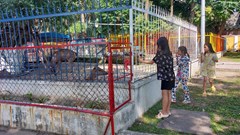 Công viên 29 tháng 3 bị “lãng quên” đến bao giờ?