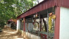 Vụ xâm phạm danh thắng quốc gia hồ Đồng Vụa (Nga Sơn, Thanh Hóa)​​​​​​​: Huyện đề nghị cưỡng chế vì người vi phạm chây ì