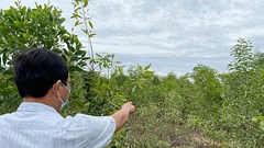 Quảng Ngãi: Thành lập đoàn xác minh nội dung tố cáo Giám đốc Sở KHCN vi phạm pháp luật