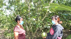 Khánh Hòa:  Đẩy mạnh công tác giảm nghèo bền vững