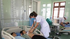 Cứu sống 5 người dân tộc Dao ăn nhầm nấm độc hái trong rừng