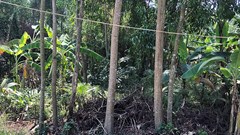 Viết tiếp​​​​​​​ di tích lịch sử quốc gia Nhà và Lò gạch Võ Công Tồn bị xâm hại nghiêm trọng: Khảo sát hiện trạng, đề xuất hướng trùng tu