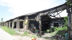 Sớm tháo gỡ khó khăn, vướng mắc để di dời dân cư ở di tích An Lăng