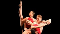 Tranh Đông Hồ được “vẽ” bằng vũ điệu ballet cổ điển thế giới