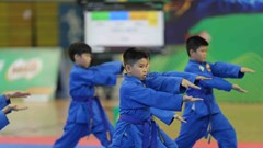 Góp phần phát triển Vovinam trong học đường