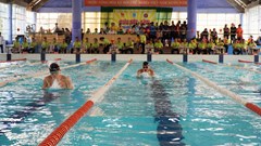 Hơn 230 vận động viên tranh tài Giải bơi – lặn vô địch quốc gia bể 25m