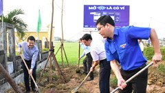 Ngày Chủ nhật xanh trở thành nếp sống đẹp trong cộng đồng