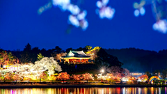 Gangneung đặt mục tiêu là thành phố du lịch quốc tế hàng đầu thế giới năm 2040