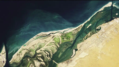 Phát hiện thị trấn ngọc trai lâu đời nhất ở Vịnh Ba Tư