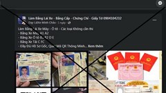Ẩn họa khôn lường của bằng lái giả