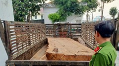 Kon Tum: Bắt quả tang 2 đối tượng đang cưa gỗ trái phép tại rừng
