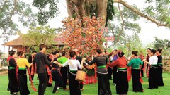 Độc đáo lễ hội Hết Chá của người Thái ở Mộc Châu