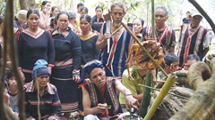 Lễ cúng rừng của người Ja Rai