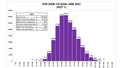 Thi đánh giá năng lực đợt 1 ĐH Quốc gia TP.HCM: 152 thí sinh trên 1.000 điểm