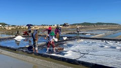 Đồng muối Sa Huỳnh trở thành điểm du lịch cộng đồng hấp dẫn