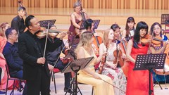 Liên hoan Âm nhạc Vietnam Connection Music Festival