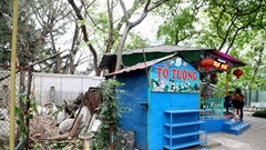 Hà Nội và chuyện nghịch lý thừa, thiếu công viên (Bài 3): Trông người, lại ngẫm đến ta