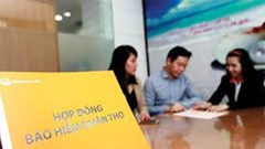 Bộ Tài chính cầu rà soát, hoàn thiện các quy định bảo vệ quyền lợi người tham gia bảo hiểm nhân thọ