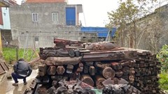 Xung quanh việc tháo dỡ những ngôi đình, nhà thờ cổ đem bán: Ngăn chặn ngay hiện tượng phi văn hóa