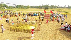 Lễ hội tôn vinh nghề trồng lúa nước