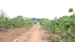 Kon Tum: Vi phạm quy định về bồi thường, hỗ trợ 3 cán bộ bị khởi tố, bắt giam