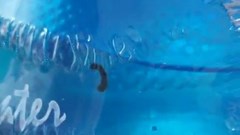 Phát hiện “dị vật” trong bình nước 20 lít cung cấp cho trẻ mầm non