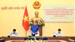 Đẩy nhanh tiến độ triển khai thực hiện Chương trình mục tiêu quốc gia phát triển KT-XH vùng đồng bào DTTS và miền núi