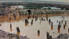 Đề nghị bổ sung Bãi cọc Bạch Đằng vào Hồ sơ Yên Tử trình UNESCO